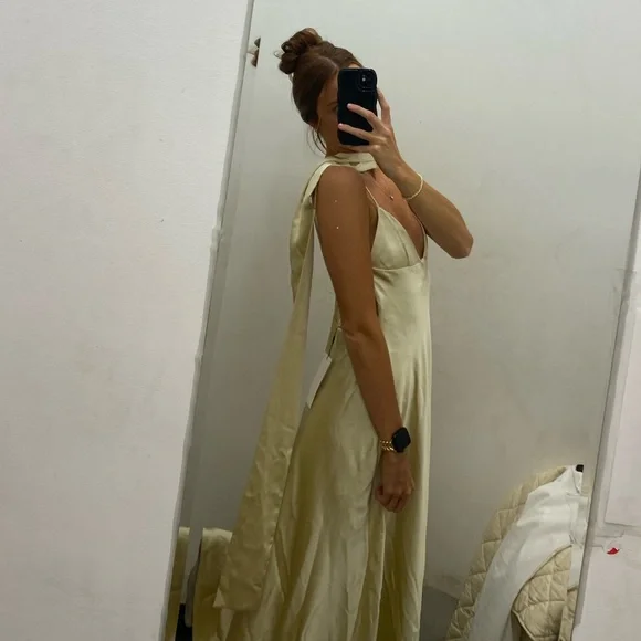 Zara Foulard Dress - Picture 4 of 4